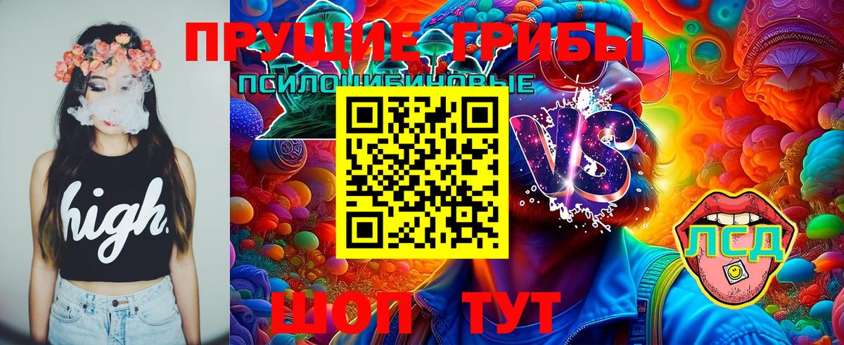 Псилоцибиновые грибы Magic Shrooms  Вход с VPN  хочу наркоту  Кизилюрт 